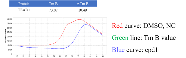 D120623022-TEAD1 (YBD).png