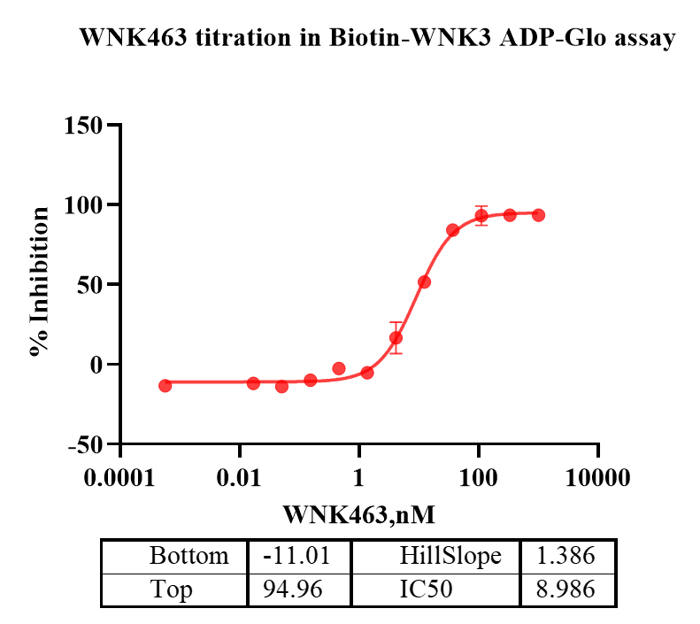 G140709021-Biotin-WNK3-2.png