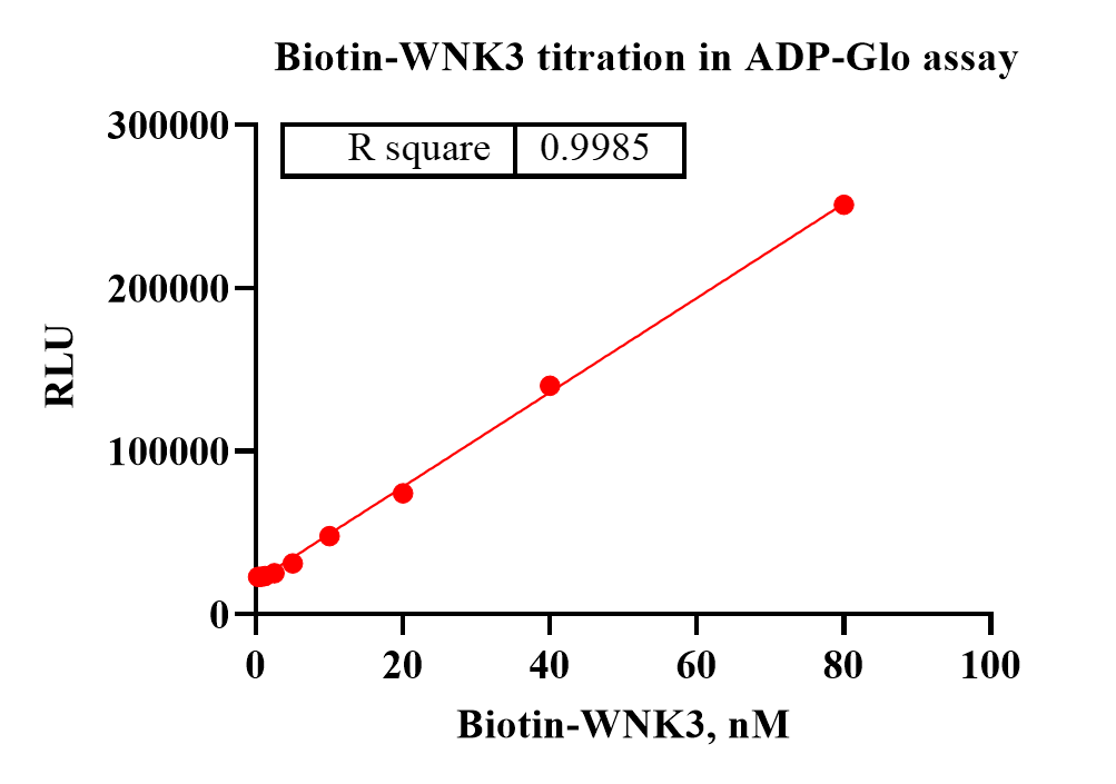 G140709021-Biotin-WNK3-1.png