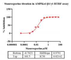 G140807022-AMPKα1β1γ1-2.png