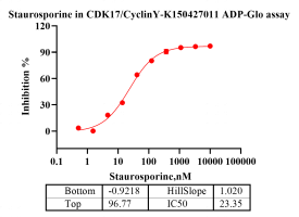 K150427011-CDK17 CyclinY.png-2.png