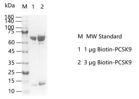 K150228012-Biotin-PCSK9.png