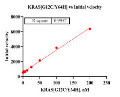M150610011-Biotin-KRAS[G12C Y64H].png-1.