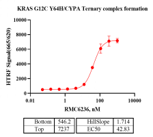 M150610011-Biotin-KRAS[G12C Y64H].png-2.