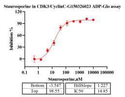 G150326023-CDK3 CyclinC.png-2.png