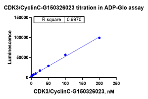 G150326023-CDK3 CyclinC.png-1.png