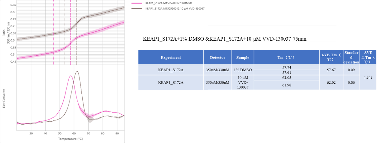 M150520012 -KEAP1[S172A].png-1.png