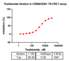 K150901031-Biotin-CRBN DDB1.png-3.png