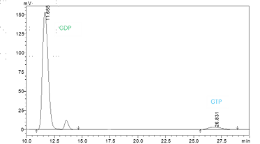 K151113011-Biotin-KRAS[G12C H95R](GDP lo