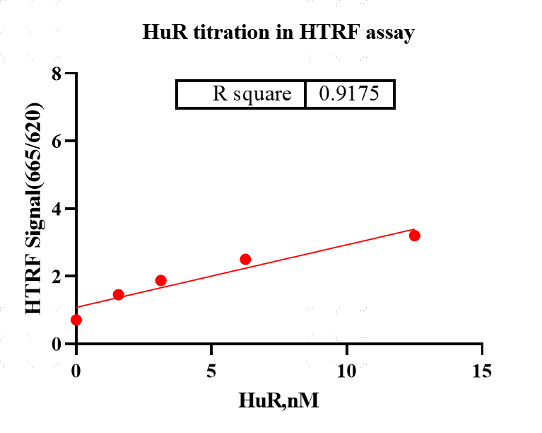 K150613012-Biotin-HuR.png-1.png
