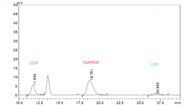 M151128012-Biotin-KRAS[G12C Y96C](GmppNp