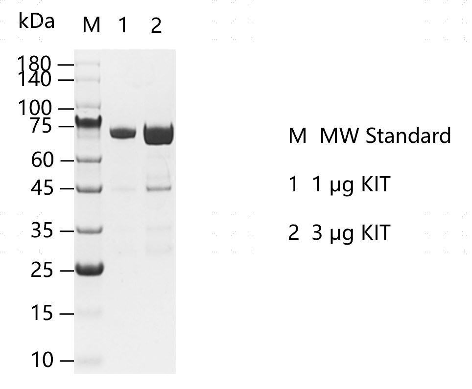 G160109012-KIT.png