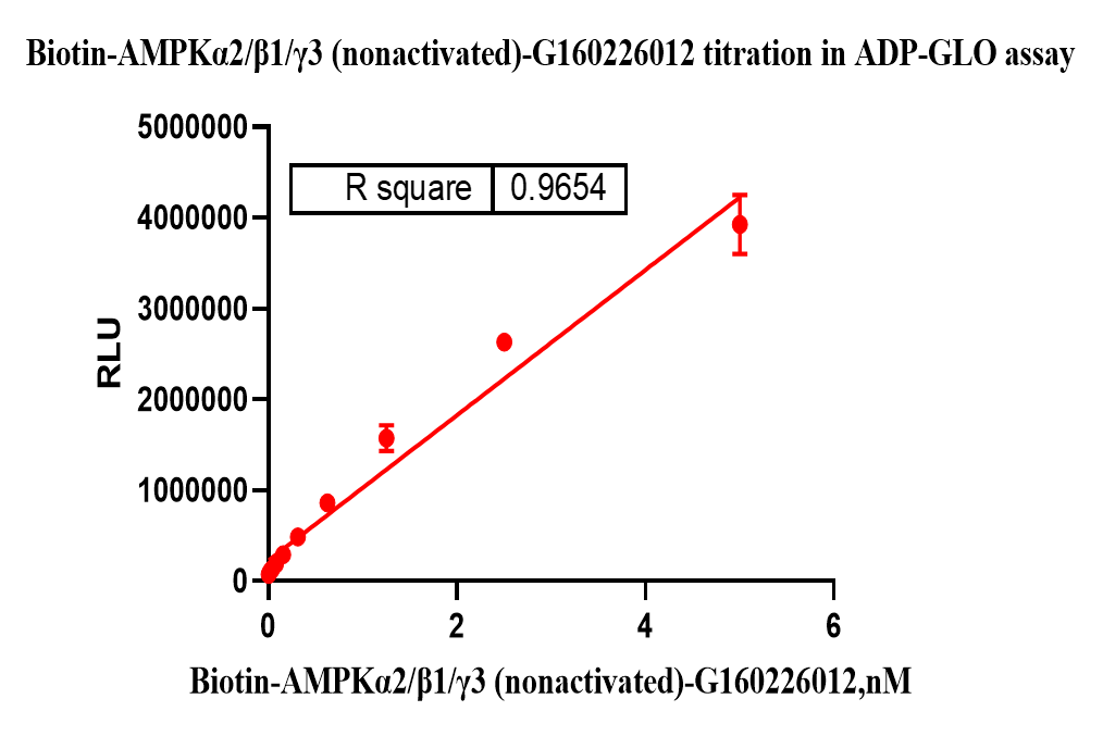 G160226012-Biotin-AMPKα2 β1 γ3  (nonacti