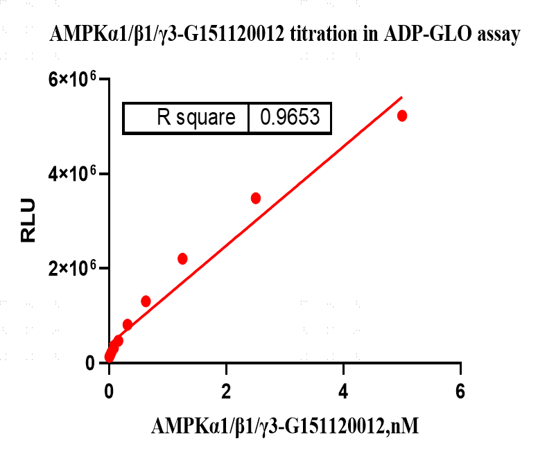 G151120012-AMPKα1 β1 γ3(nonactivated).pn