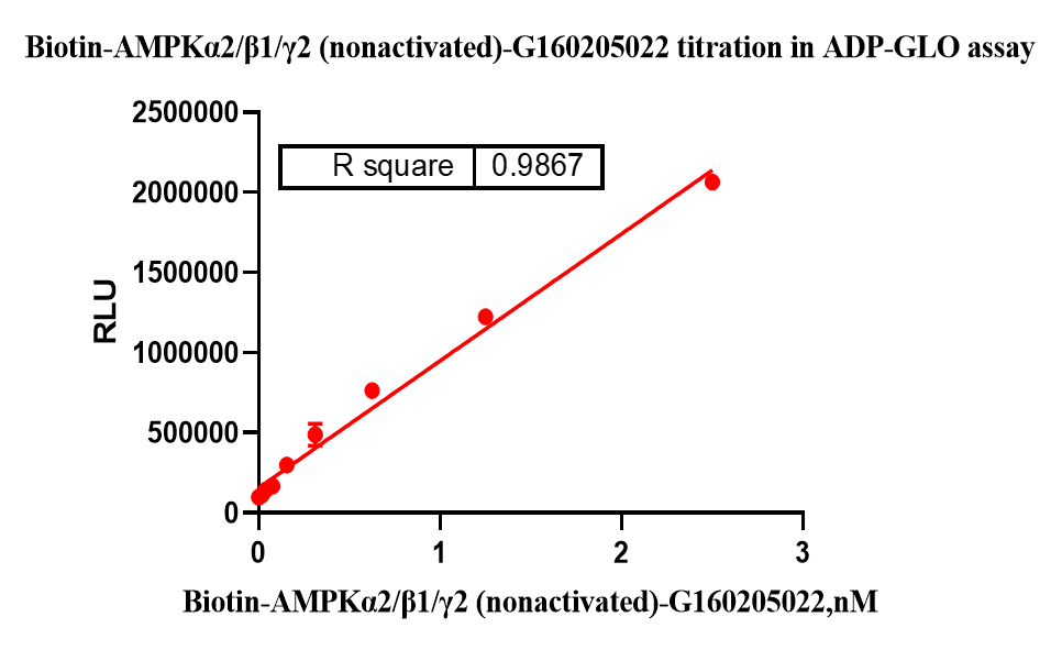 G160205022-Biotin-AMPKα2 β1 γ2 (nonactiv