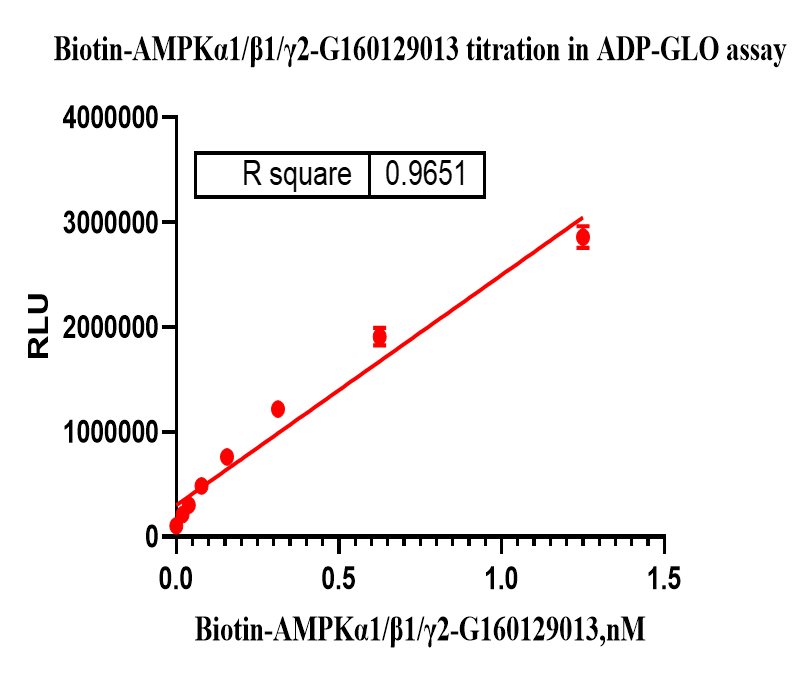 G160129013-Biotin-AMPKα1 β1 γ2(nonactiva