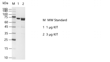 G160327012-KIT.png