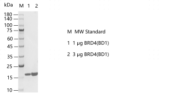 R160626012-BRD4(BD1).png