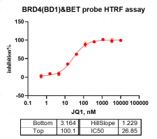 R160626012-BRD4(BD1).png-2.png