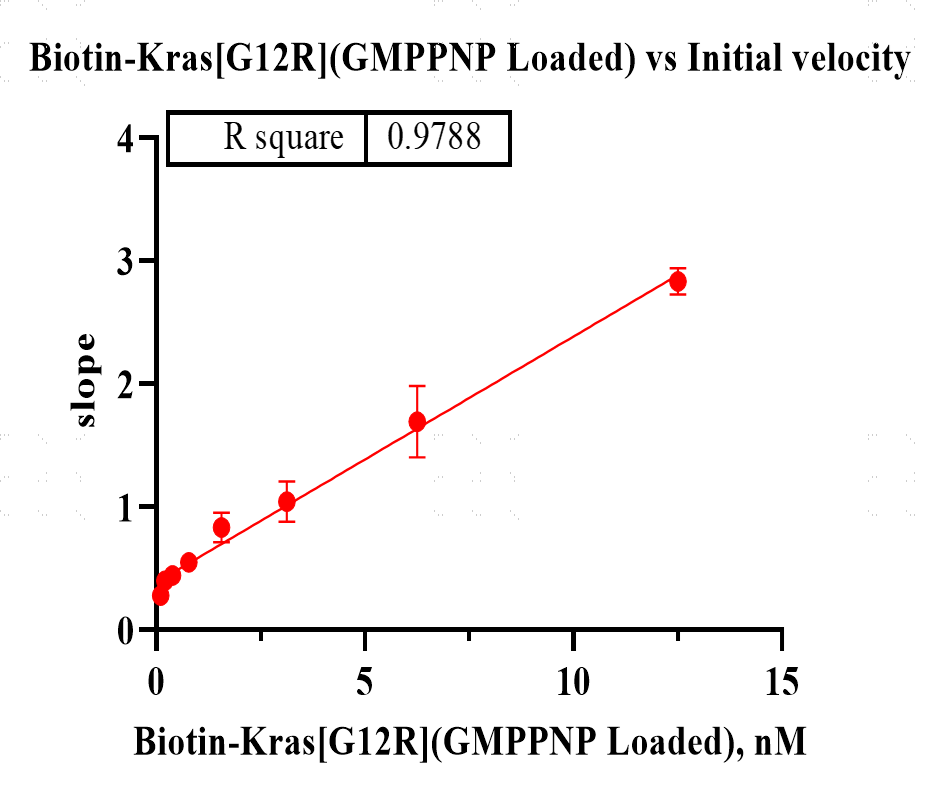 F160626022-Biotin-KRAS[G12R] (GmppNp loa