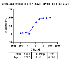 G151219011-Biotin-STAT6 (phosphorylation