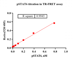 G151219011-Biotin-STAT6 (phosphorylation