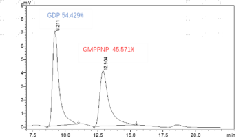 F160701013-Biotin-Kras[G12D] (GmppNp Loa