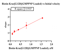 F160701013-Biotin-Kras[G12D] (GmppNp Loa