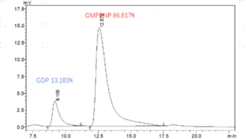 G160701012-Biotin-HRAS (GmppNp loaded).p