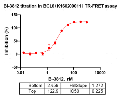 K160209011-Biotin-BCL6.png-1.png