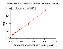 G160701012-Biotin-HRAS (GmppNp loaded).p