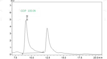 F160707061-KRAS[G12C] (GDP loaded).png-1