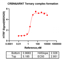 R160710021-ARNT.png-1.png