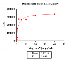 R160731011-Integrin αvβ6.png-1.png
